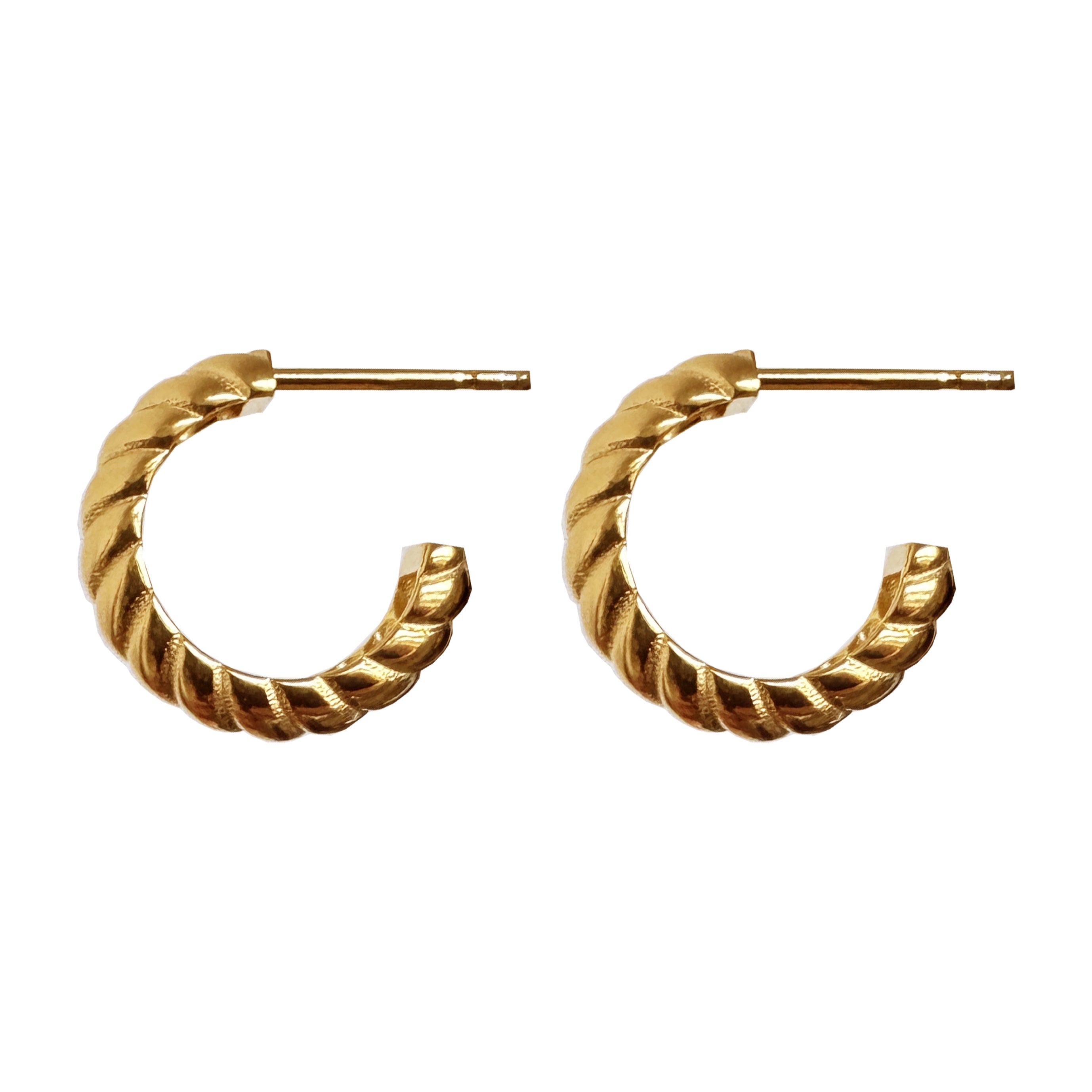 Pari earrings