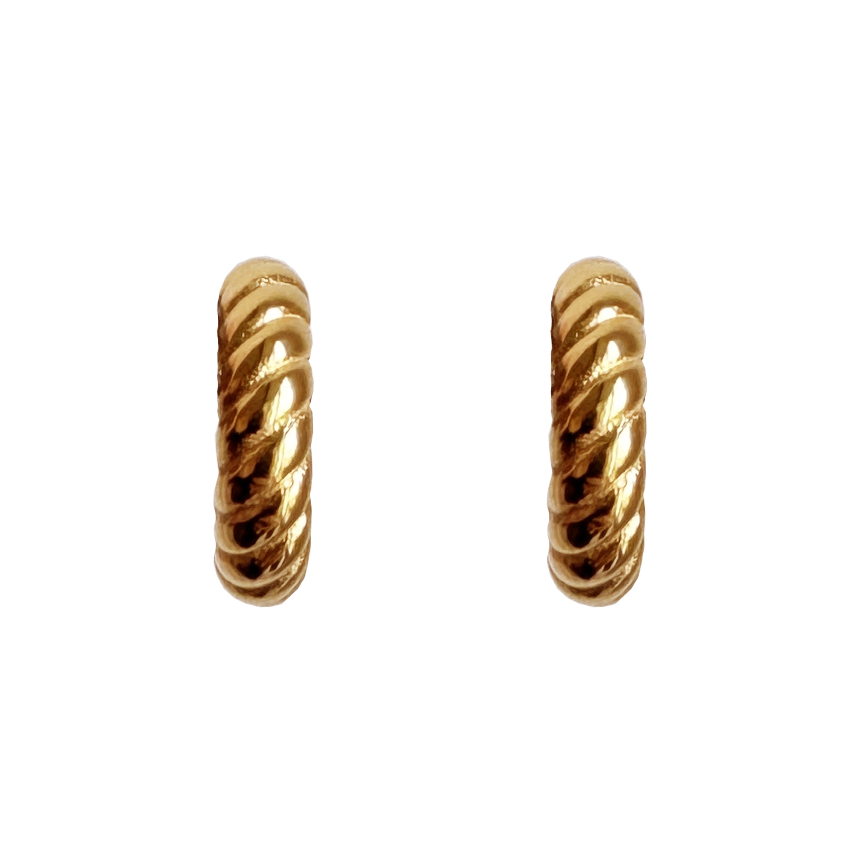 Pari earrings