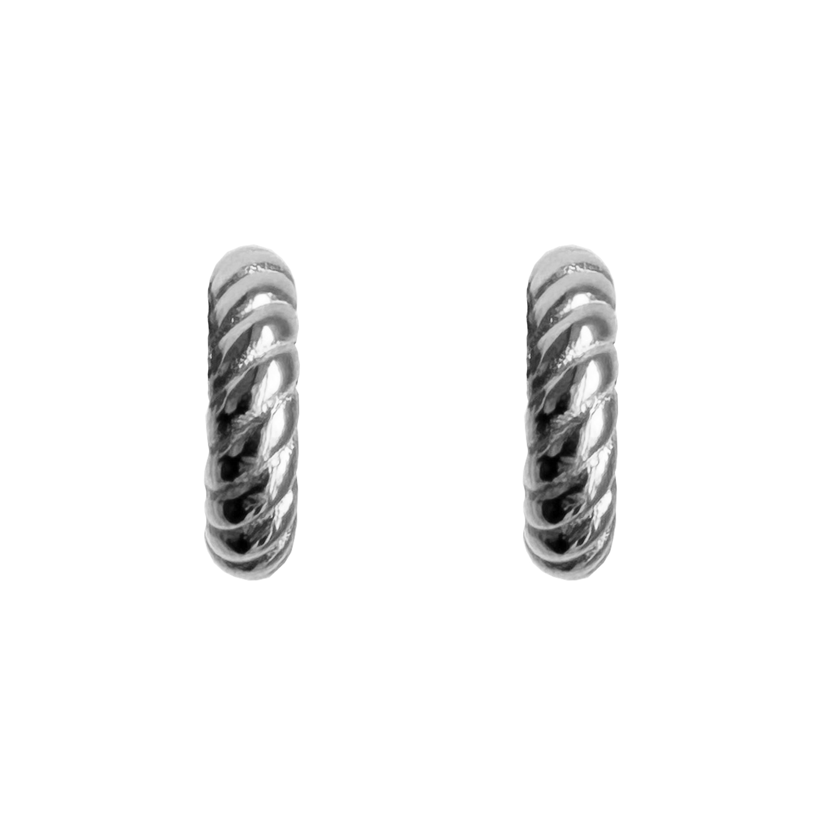 Pair earrings silver