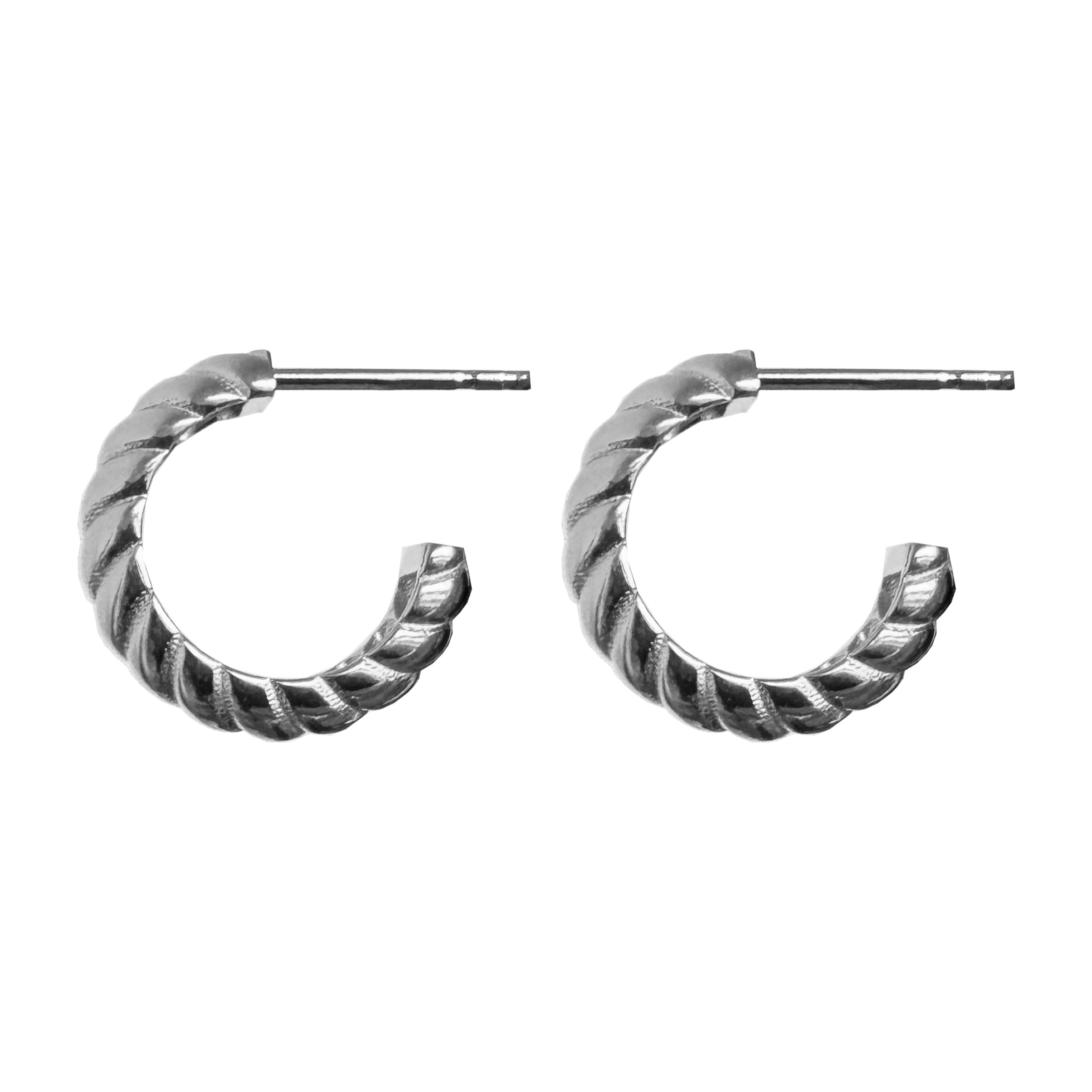 Pair earrings silver