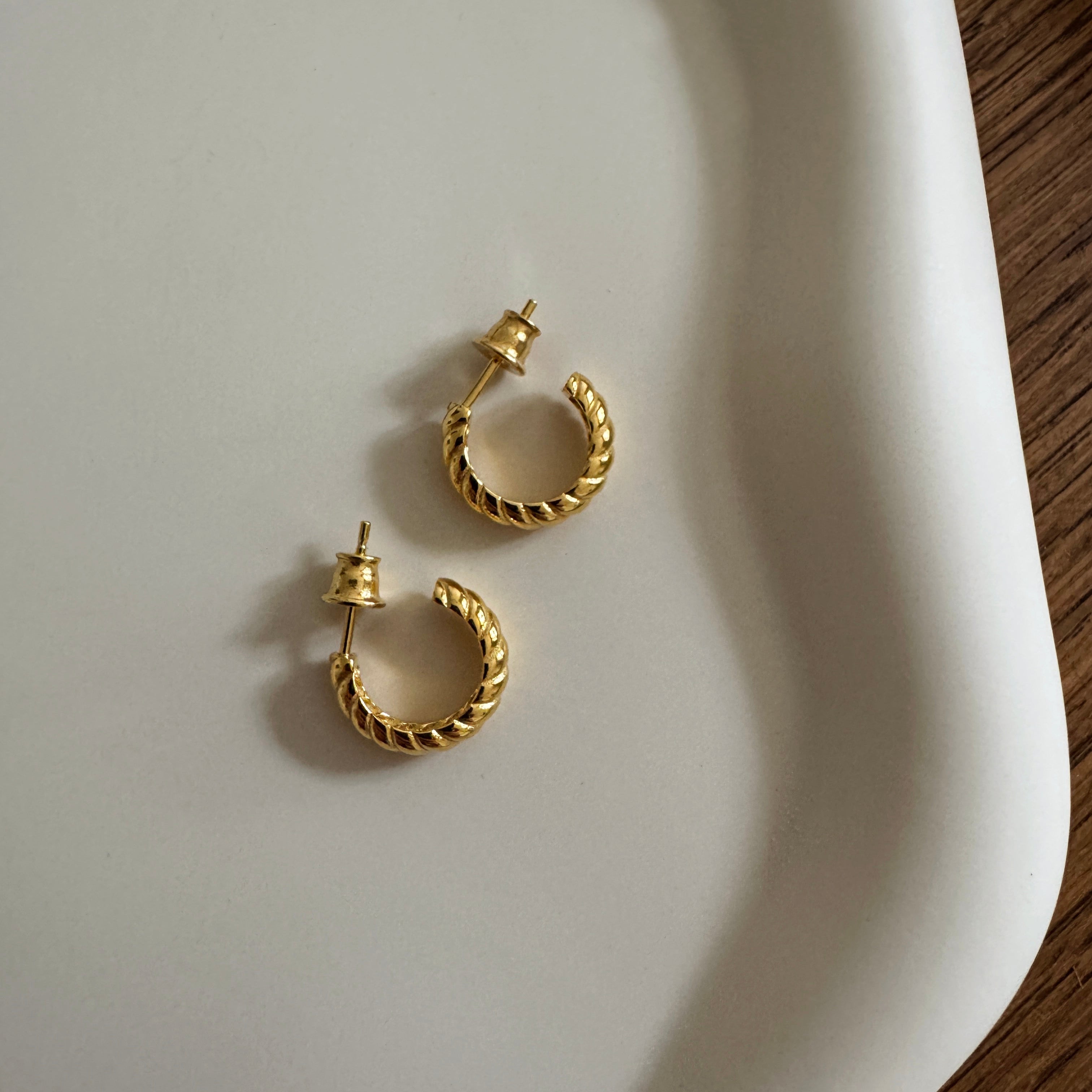Pair of earrings